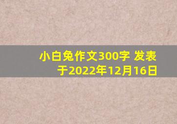 小白兔作文300字 发表于2022年12月16日